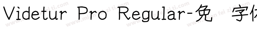 Videtur Pro Regular字体转换